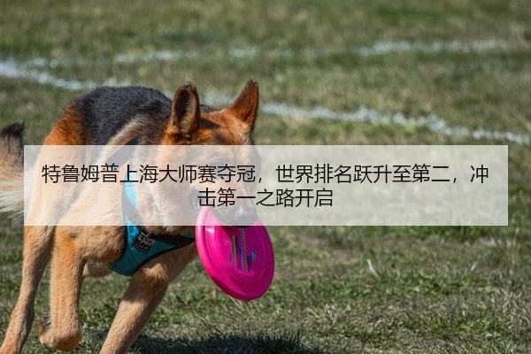 特鲁姆普上海大师赛夺冠，世界排名跃升至第二，冲击第一之路开启